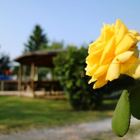 Agriturismo Ai Vigneti Ponti sul Mincio Exterior photo