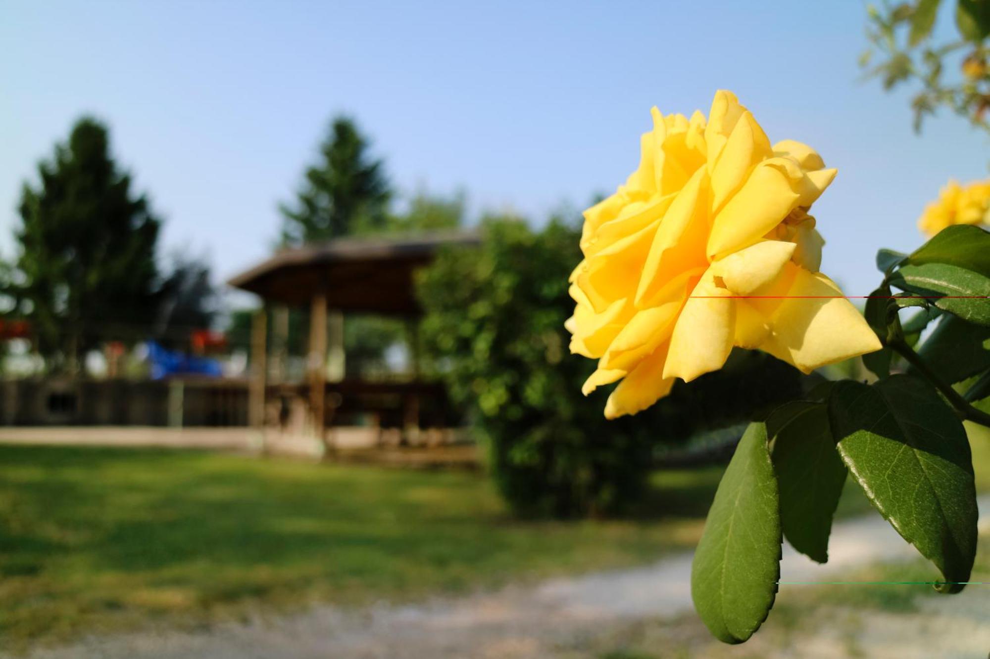 Agriturismo Ai Vigneti Ponti sul Mincio Exterior photo